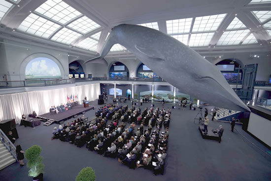 Blue Whale watches as degrees are conferred