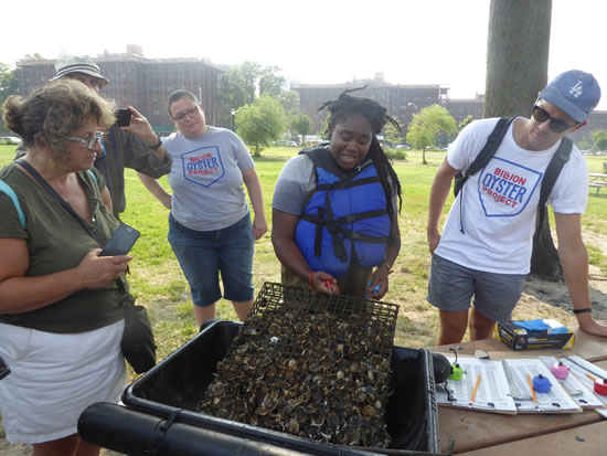 Teacher training session to measure the oysters